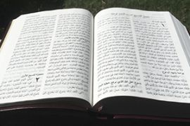 إكتشف الكتاب المقدس